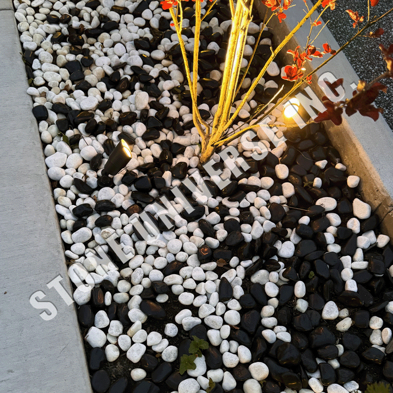 Pebbles Polished Black  (West & East)