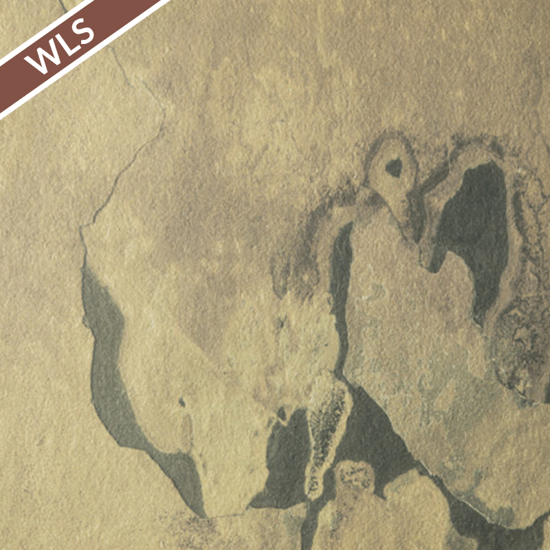 Porcelain Paver California Gold (East)