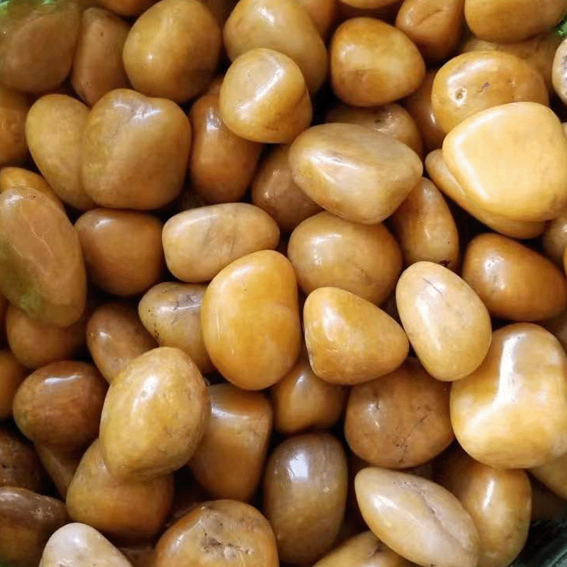 Pebbles Yellow High Polished (West & East)